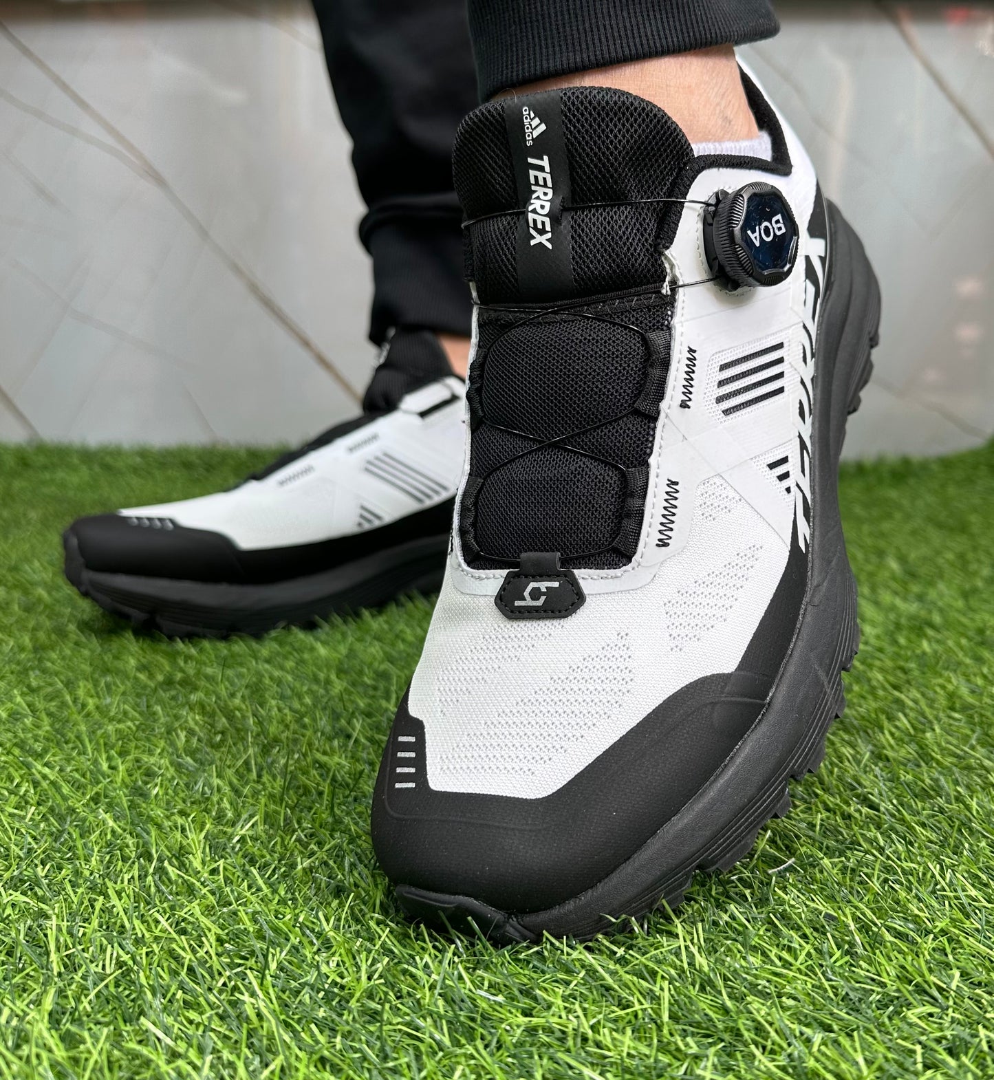 Terrex Goretex