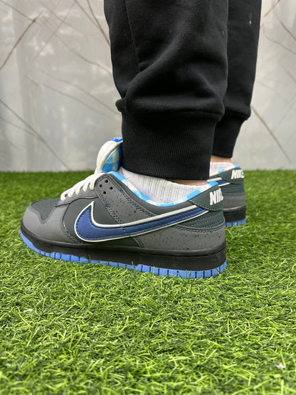 Sb. Dunk