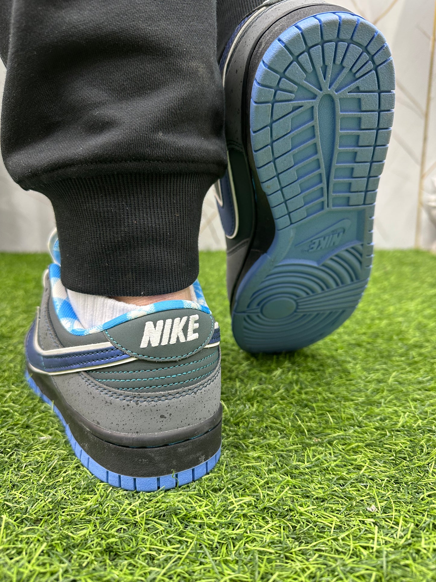 Sb. Dunk